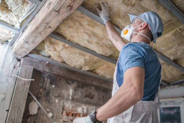 Best Insulation Maintenance and Repair in Oak Grove, KY